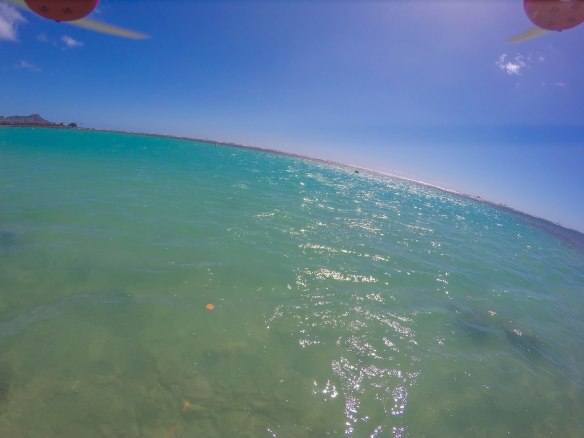 DCIM101GOPROG0031538.